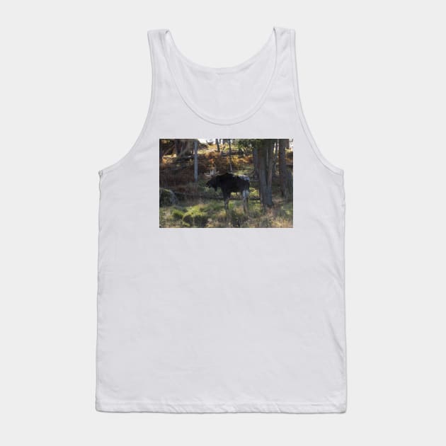 Large Moose in the woods Tank Top by josefpittner